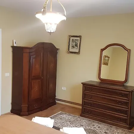 Casa Chiriac Apartment *