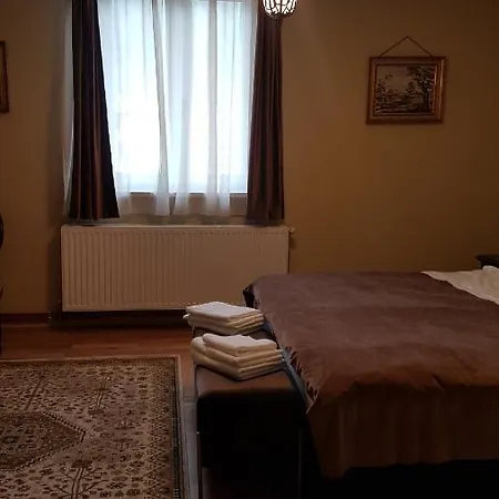 Casa Chiriac Apartment *